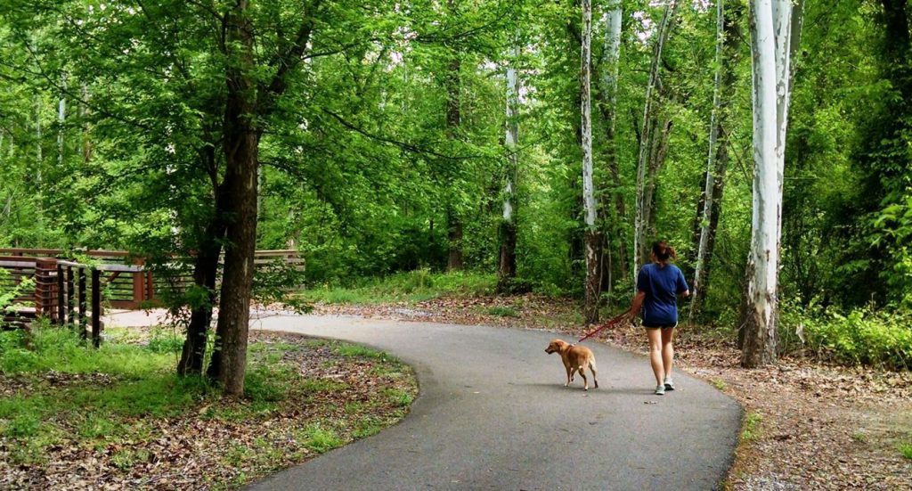 Memphis Running Trails