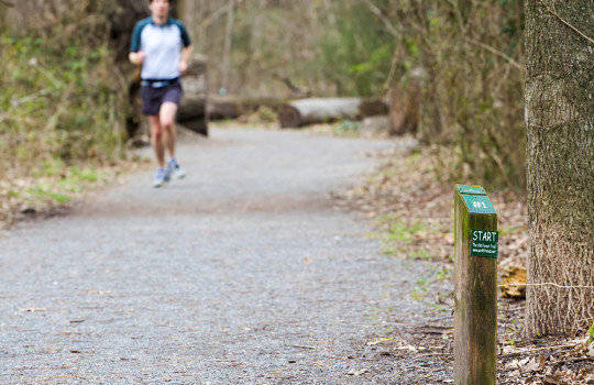 Memphis Running Trails