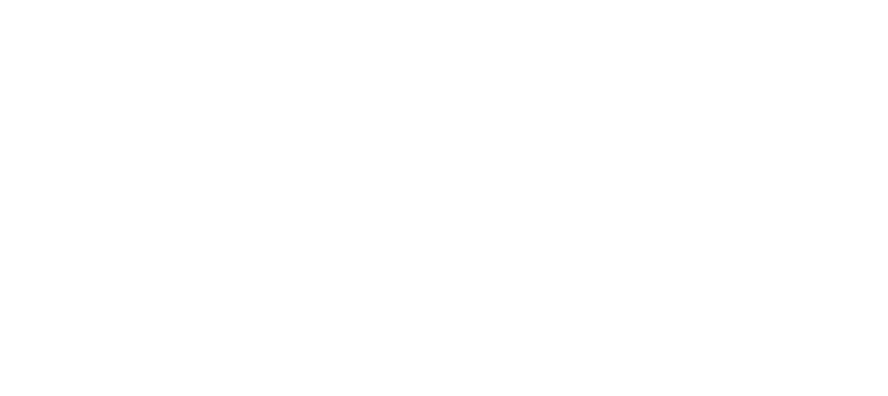 accel performance and wellness
